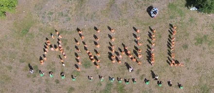 Fundacja  pomaga już trzy lata!