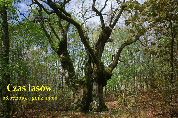 DKF Ósemka oraz Fundacja zapraszaja do kina