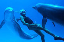 Akademia Dokumentalna