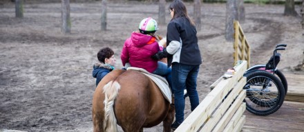 Fundacja ANWIL dla Włocławka na rzecz rozwoju hipoterapii 